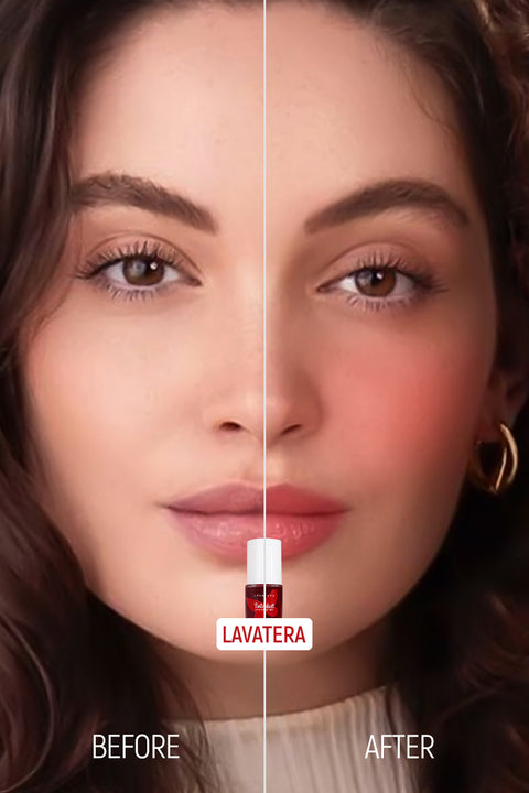 Color_Lavatera